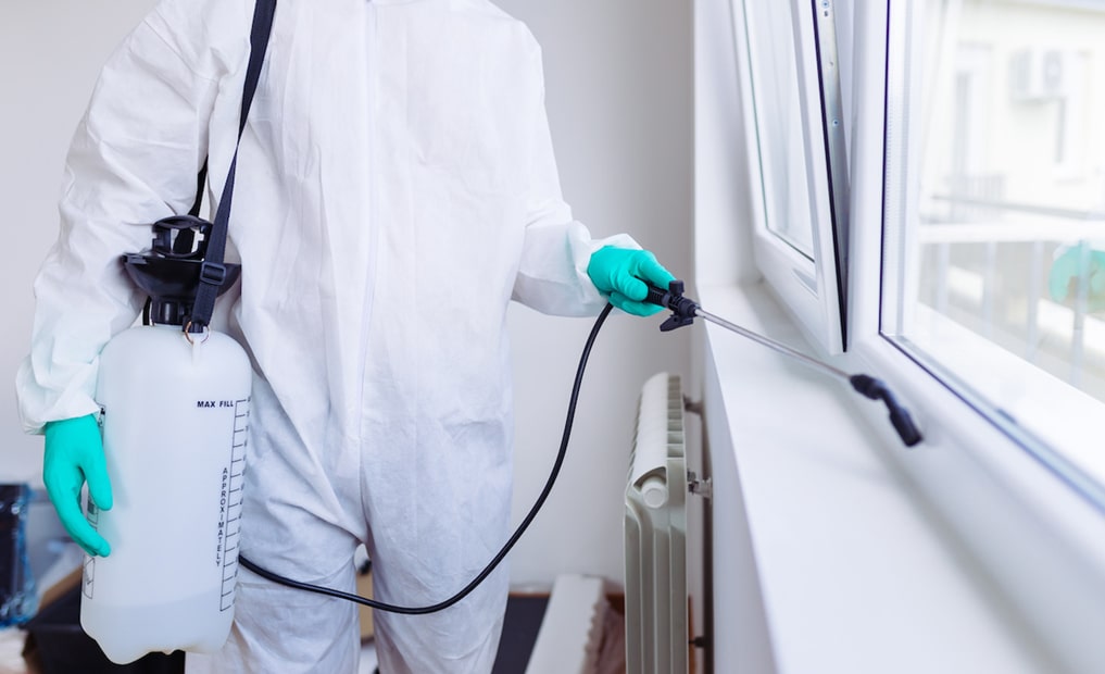 Дезинсекция помещений. Обработка помещений. Дезинфекция дезинсекция дератизация. Дезинфекция дезинсекция дератизация. Про дезинфекцию.