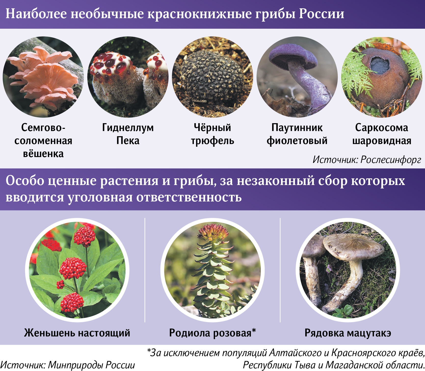 Запрещенные растения