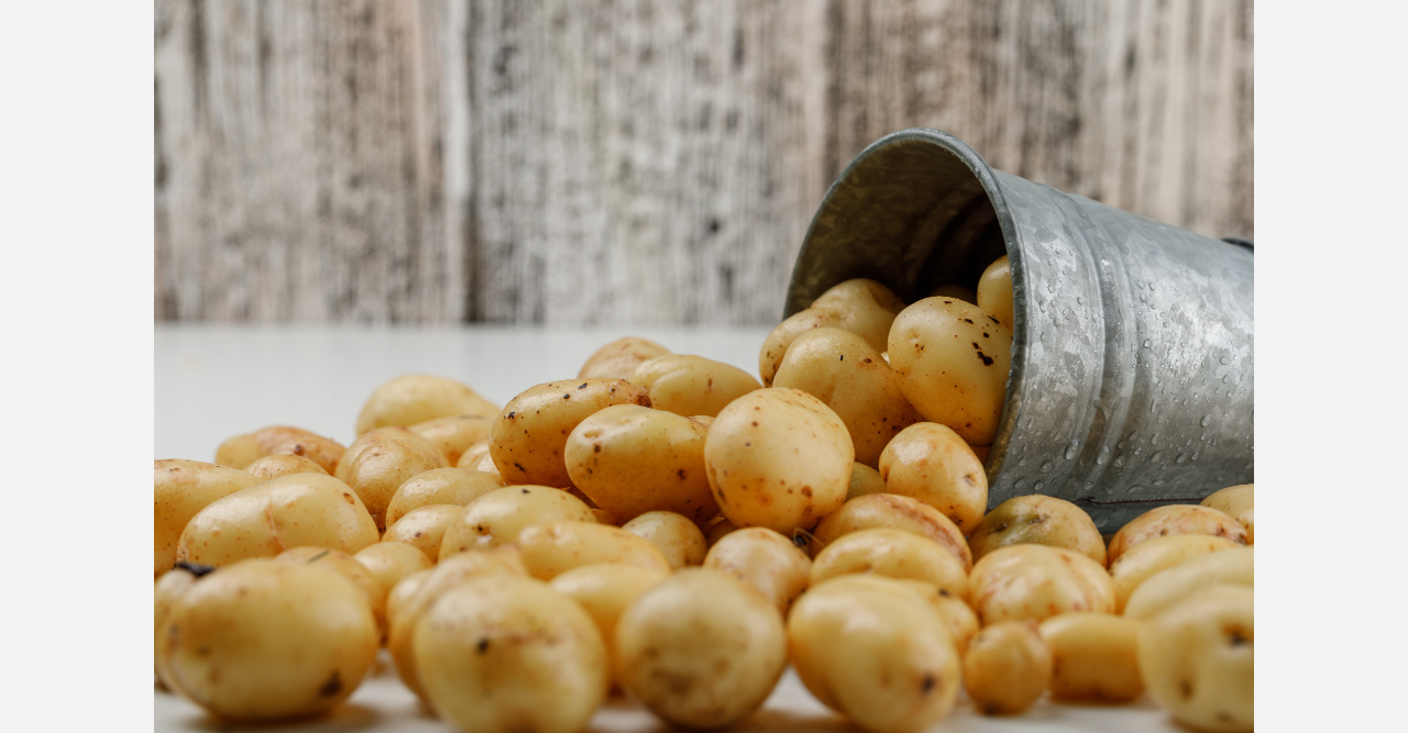 Златоустовских дачников предупредили о штрафах «за картошку»