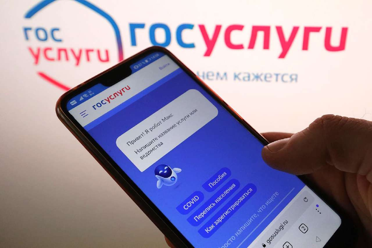 Выборы-2025: больше 90 тысяч южноуральцев захотели голосовать дистанционно
