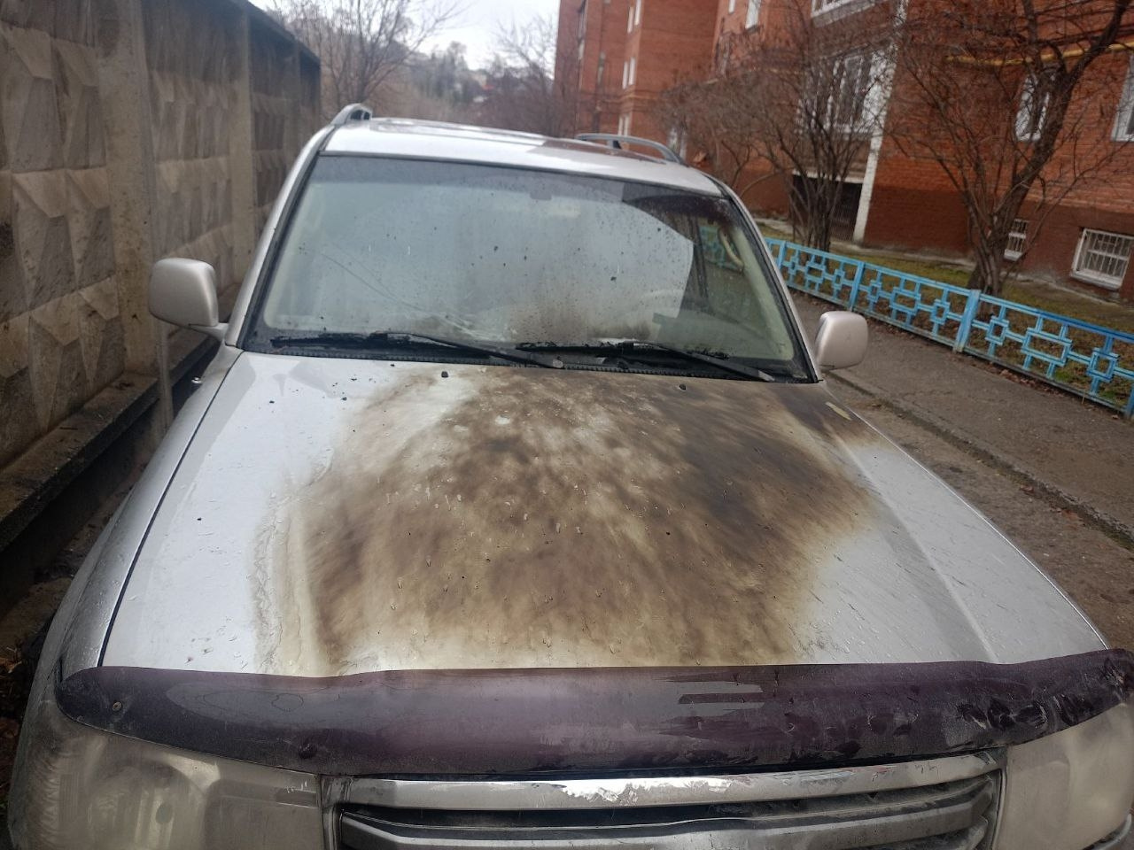 Житель Златоуста поджёг чужой автомобиль