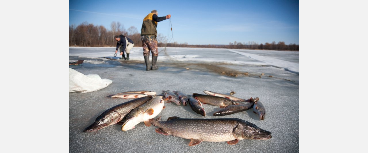 Жителей Златоуста призывают сообщать о браконьерах на озёрах