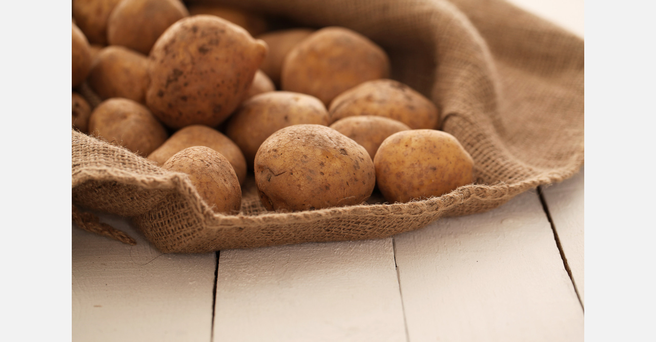 Любовь моя - синеглазка: садоводы Златоуста спорят, какой сорт картошки самый лучший