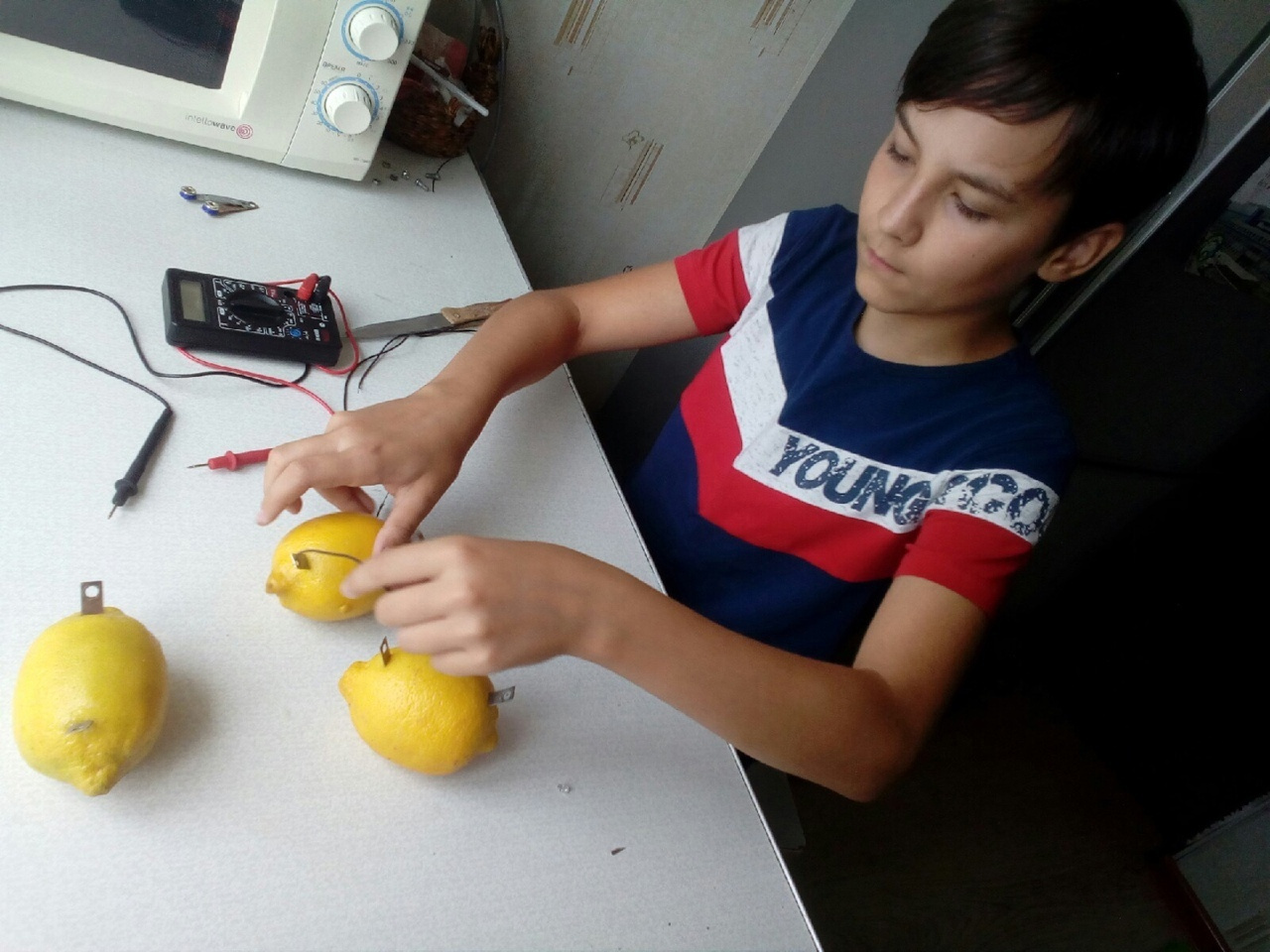 Свет лимона: юный златоустовец сделал батарейку из фруктов