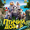 Птичий дозор