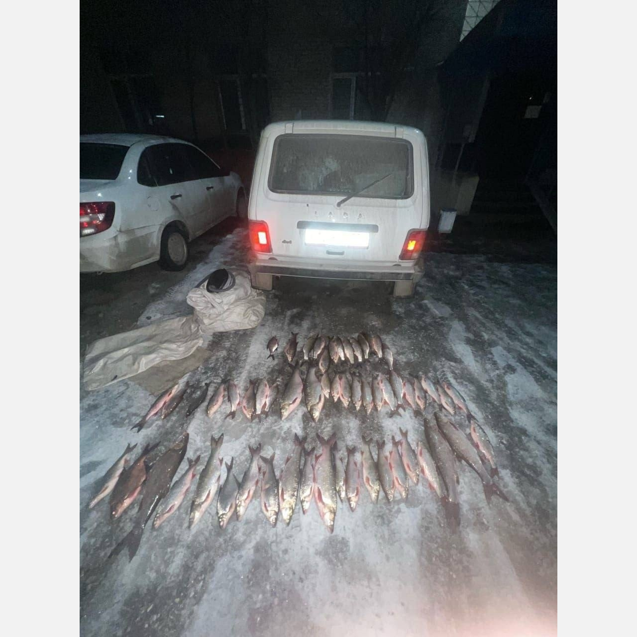  Жителя Златоуста задержали с уловом