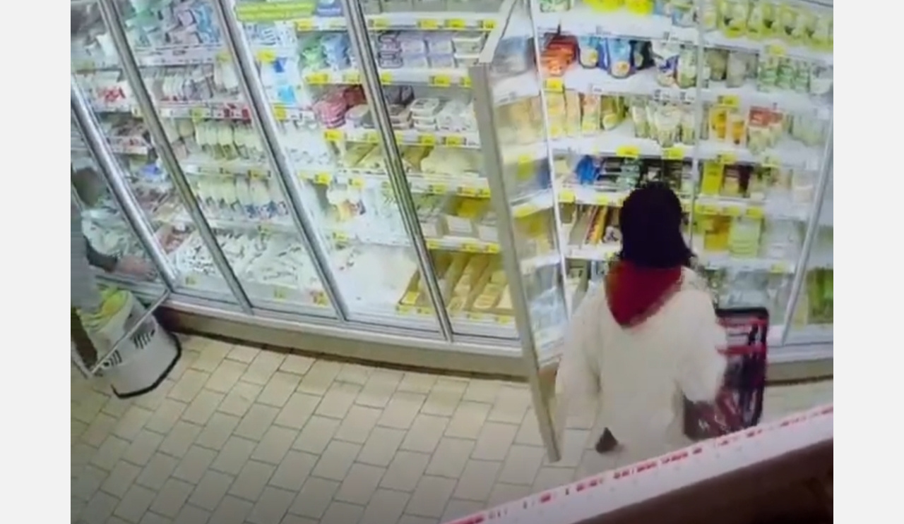 В Златоусте задержали гастролёршу из Аши