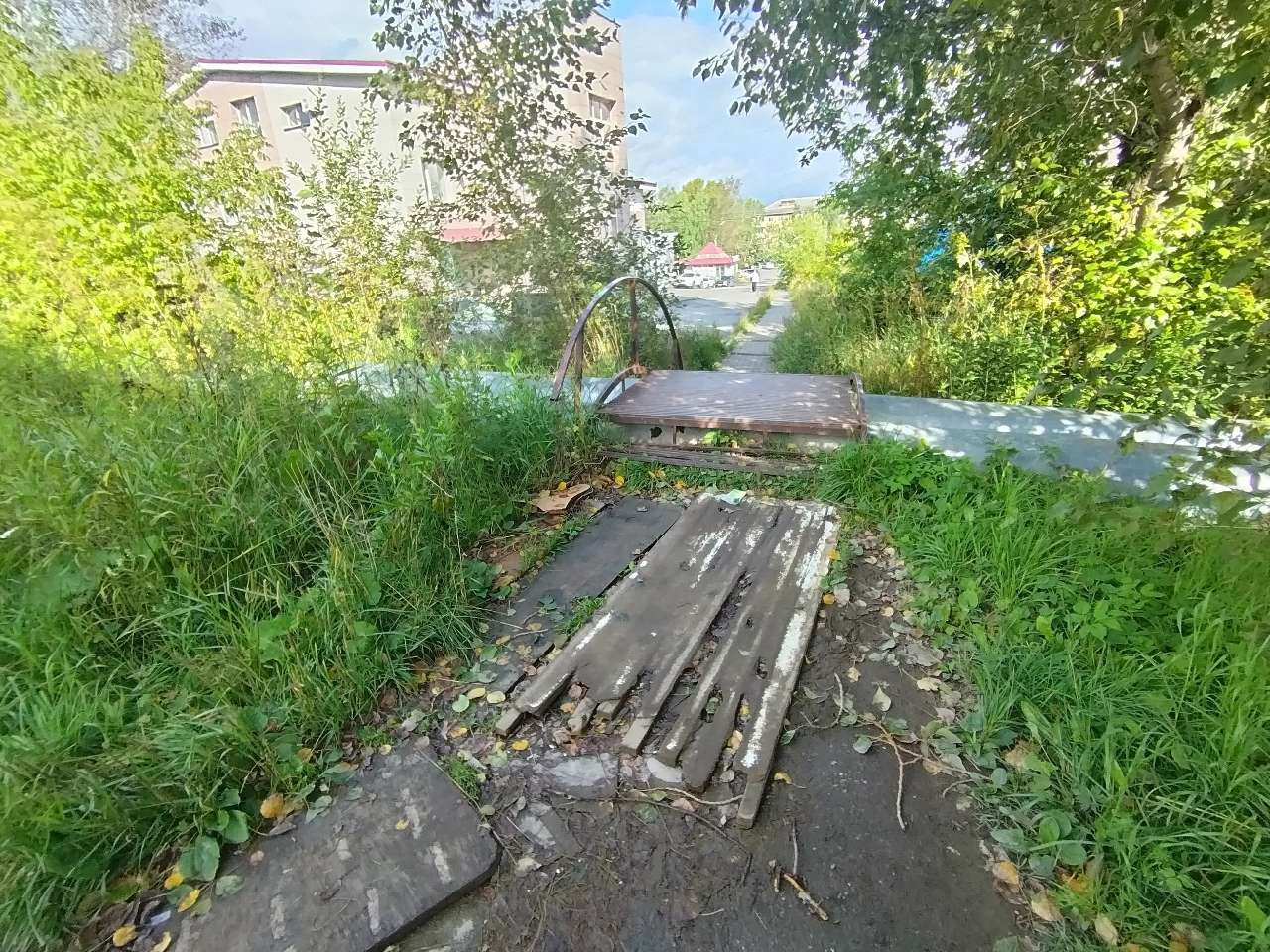 В Златоусте может появиться экосквер «Ель»