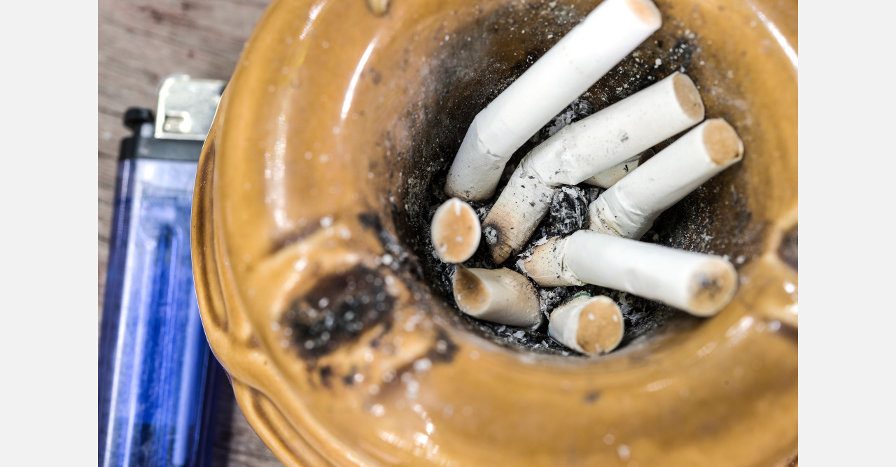 Жёлтый кот: жительница Златоуста страдает от соседа-курильщика