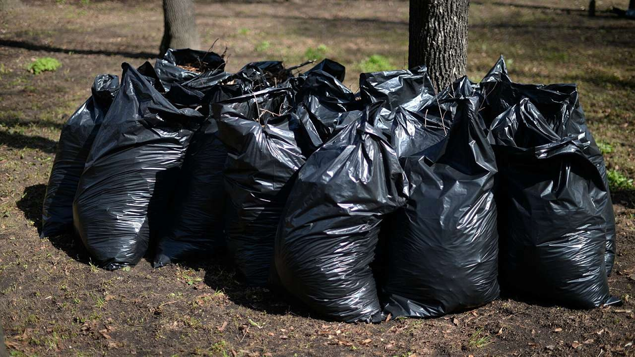 Делайте компост: директоров школ и детсадов Златоуста научили, как сэкономить на вывозе мусора
