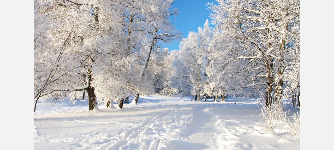 Зима, холода: жители России признались в нелюбви к снежному времени года