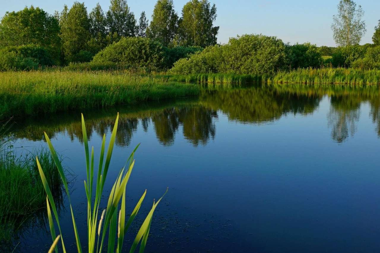 Жителей Златоуста оштрафовали за «отдых» у воды