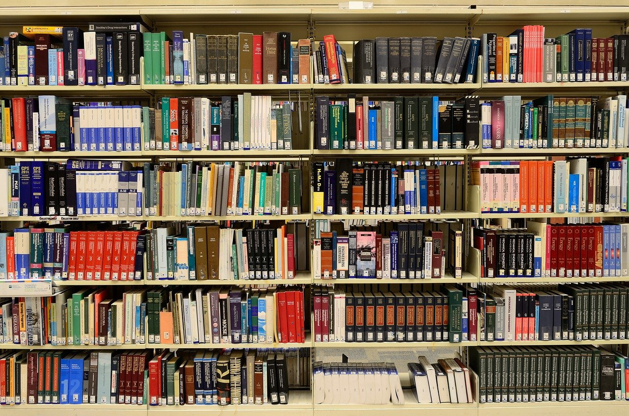 В Златоусте назвали лучших «книгорубов». КТО ЭТО