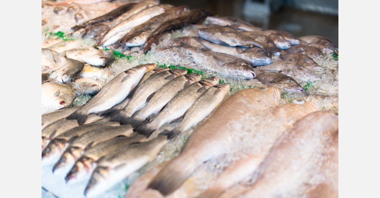 Из овса и палок: как жителям Златоуста продают «кошачий» минтай по цене лосося