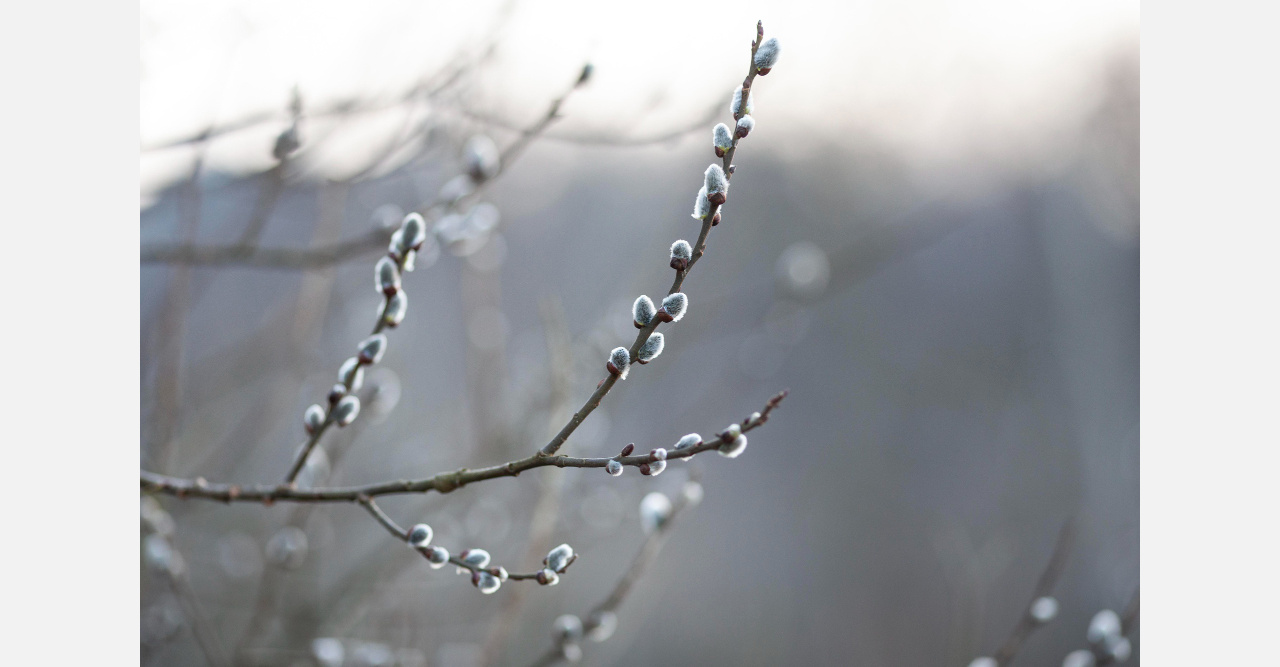 В Златоуст пришла весна – и это точно