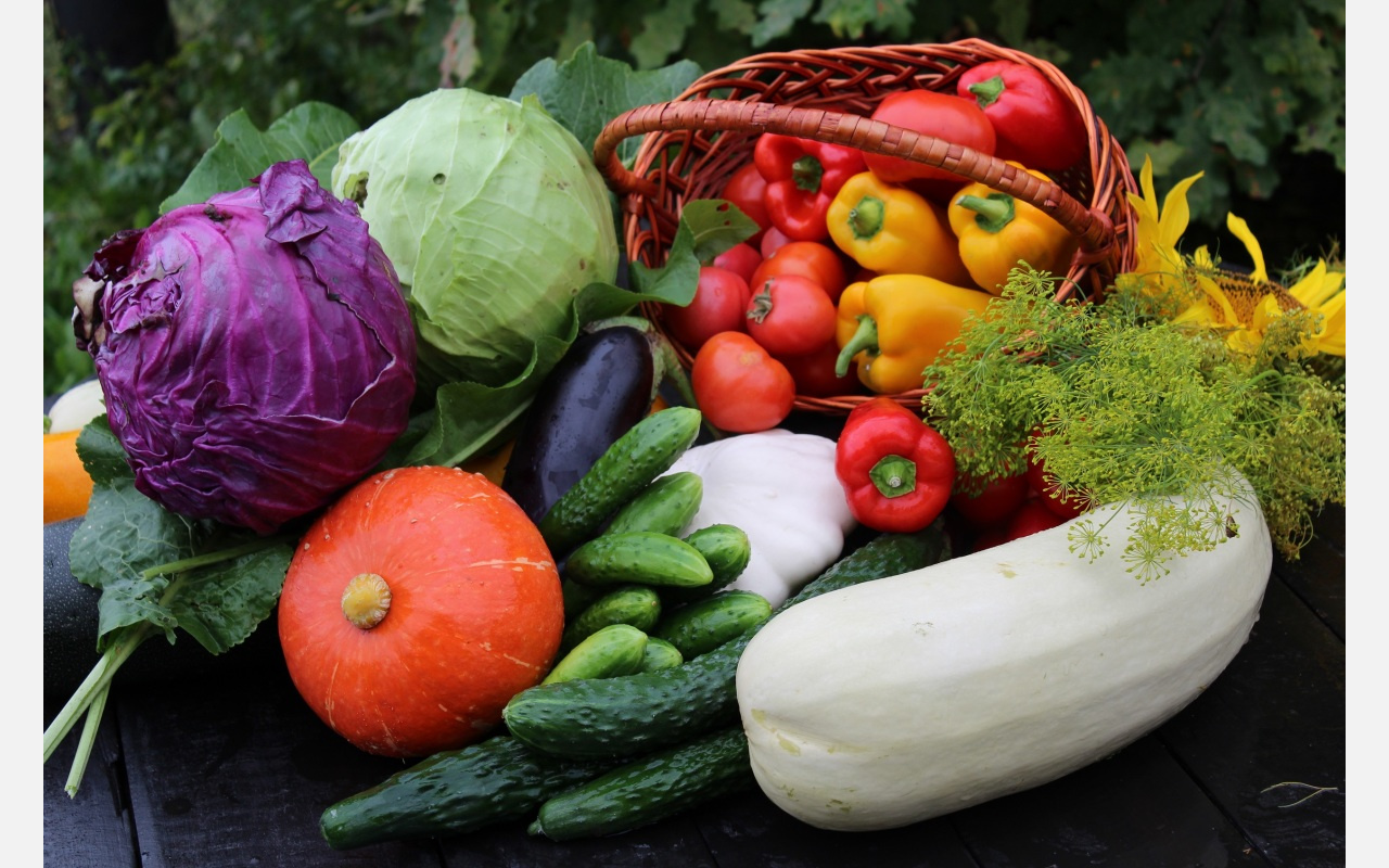 На здоровье: жителям Златоуста посоветовали есть больше осенних овощей