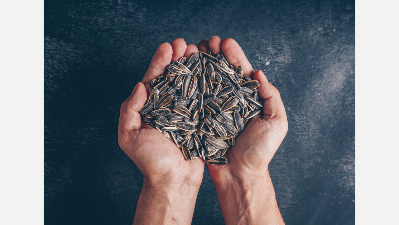 Эмаль – в хлам: как жители Златоуста «пролузгали» зубы