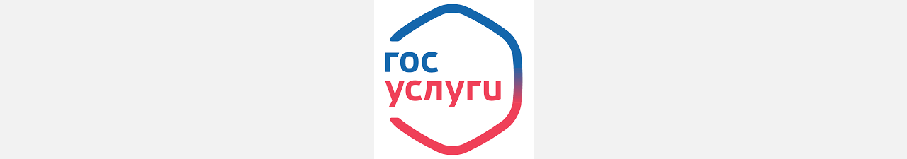 У Госуслуг появятся кураторы