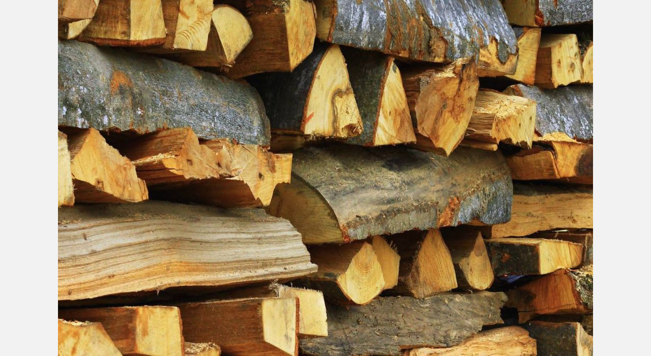 Нет надежд – одни слёзы: в Златоусте жители Закаменки запасаются дровами