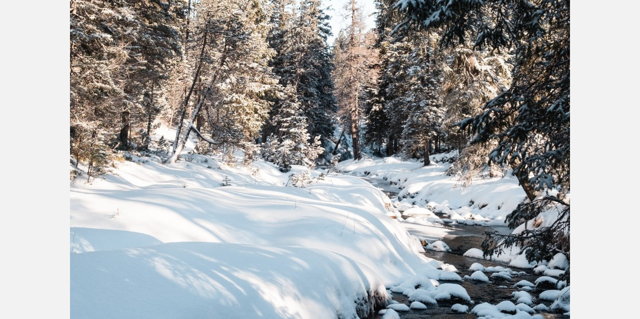 В лесу под Златоустом установлен снежный рекорд