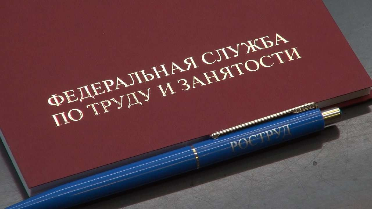 Самозанятые поневоле: Роструд усилит контроль работодателей