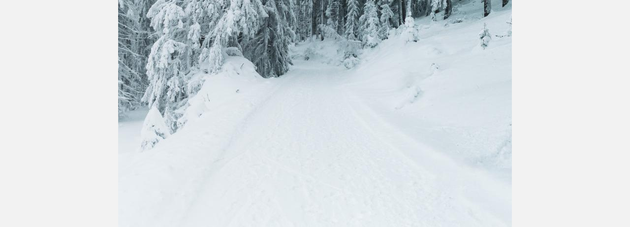 Хоть на лыжах: златоустовцы жалуются на занесённые снегом дороги и тротуары
