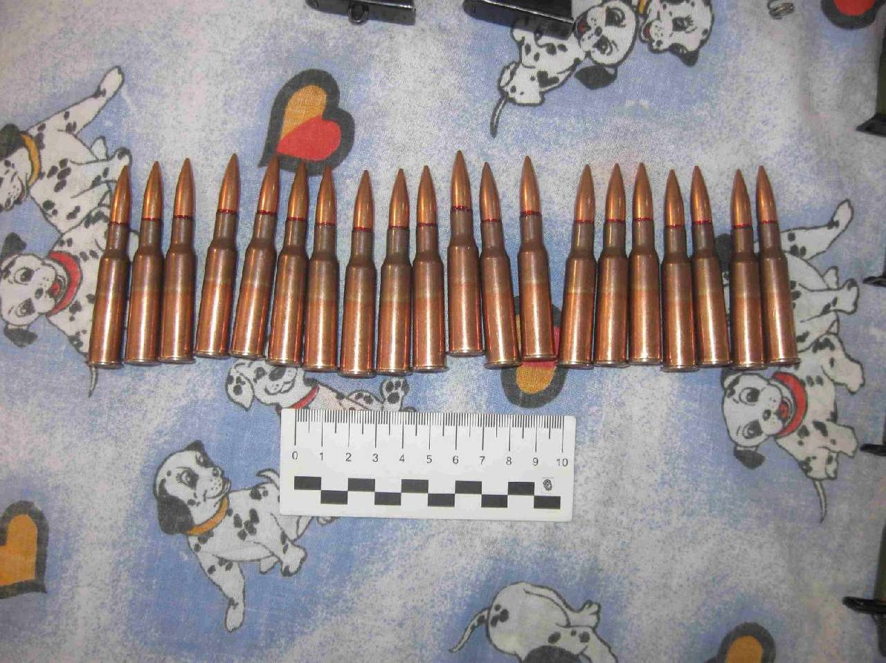 У жителя Златоуста изъяли боевые патроны 