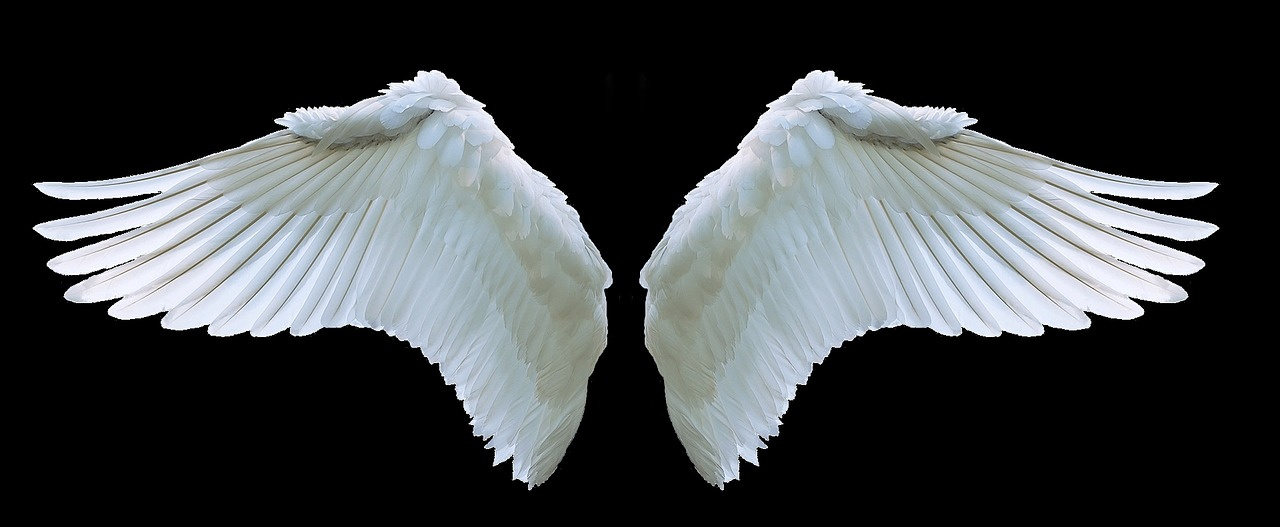 Юные художники из Златоуста нарисовали «Крылья ангела»