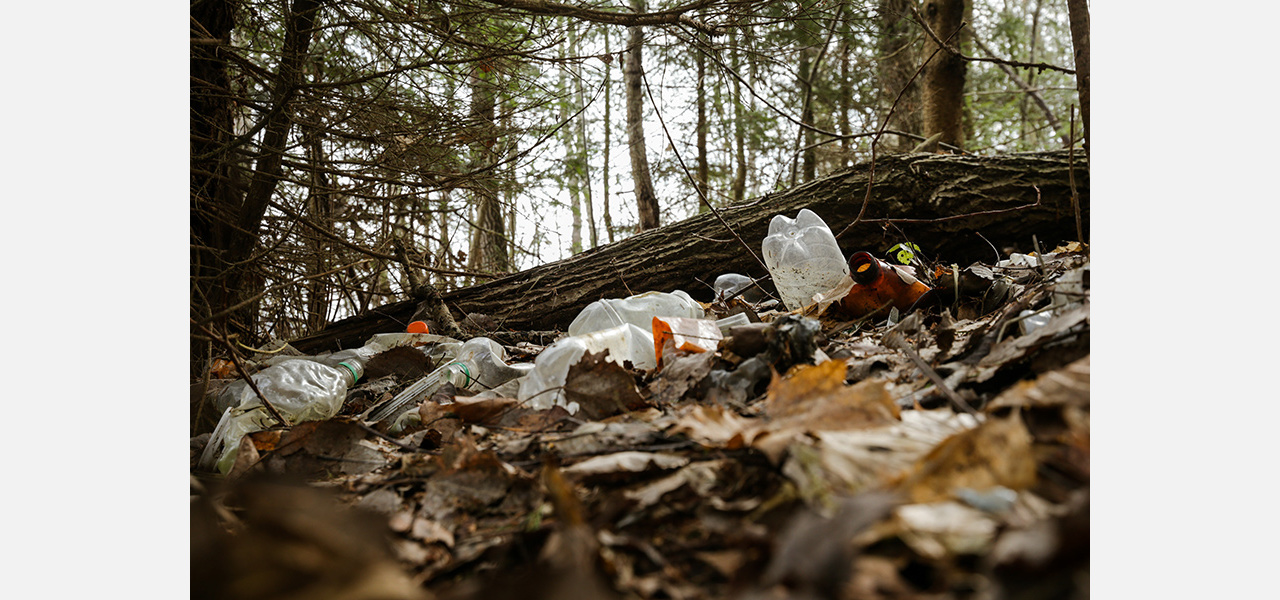 Жителей Златоуста обязали сообщать о мусоре в лесах