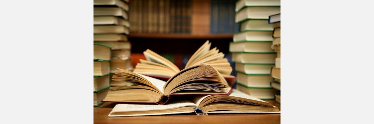 В Златоусте отметили день книгодарения