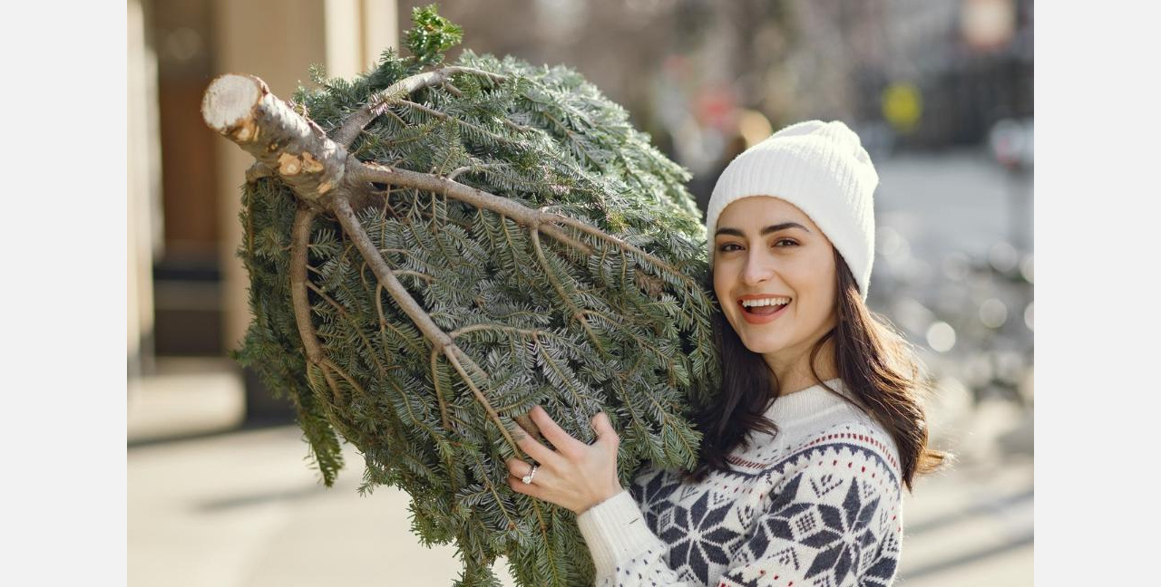 Детский сад в Златоусте объявил сбор ёлок