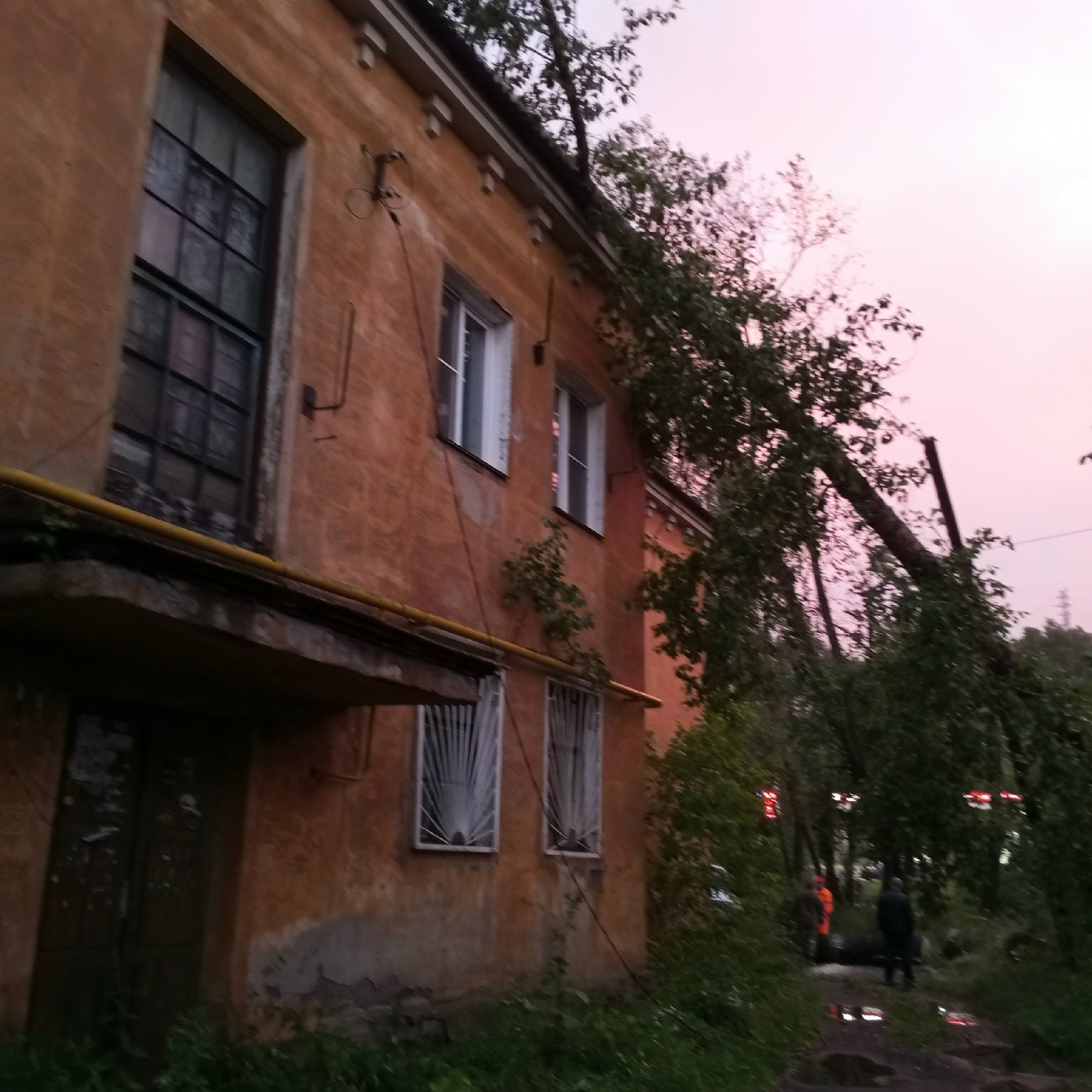 Всё без толку: жители дома в Златоусте полтора месяца живут «под деревом»  