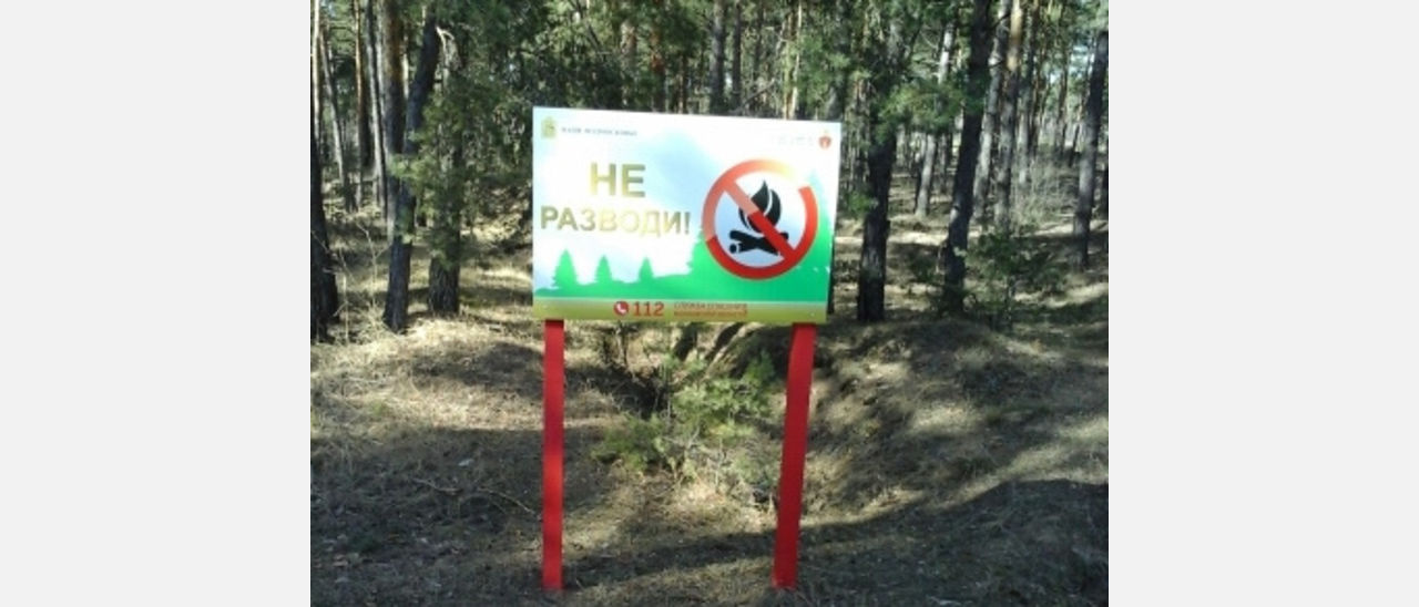 Всем внимание: в Челябинской области объявили о начале пожароопасного сезона в лесах