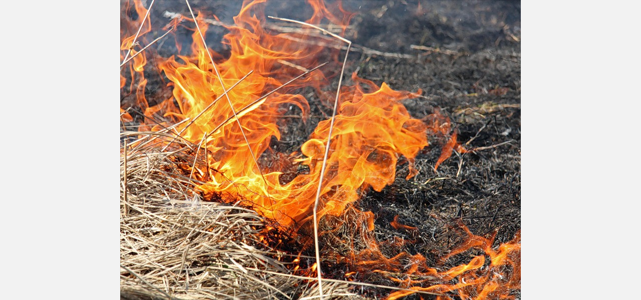 Жителя Златоуста оштрафовали за сжигание травы