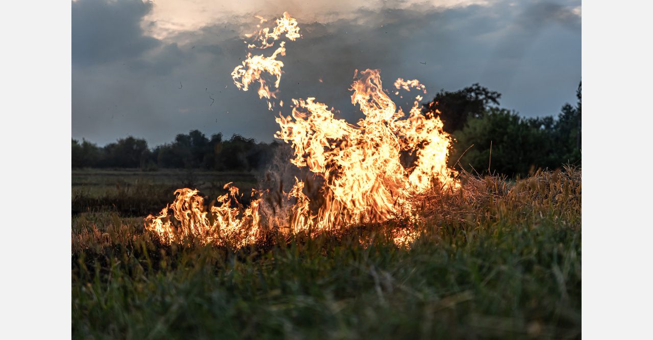 В Челябинской области работают 130 патрульных групп