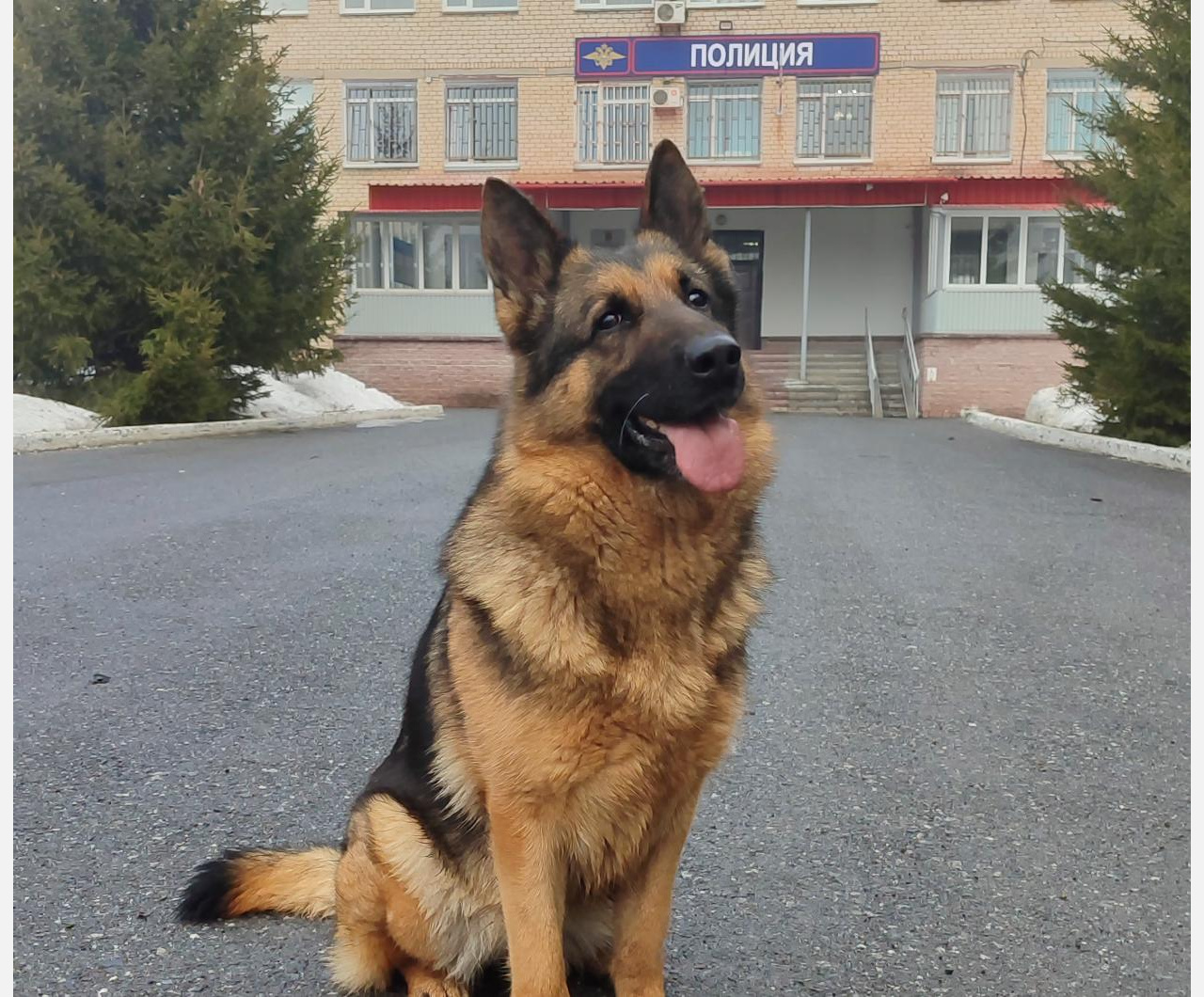 Нашли и вернули: в Златоусте по горячим следам раскрыта домовая кража