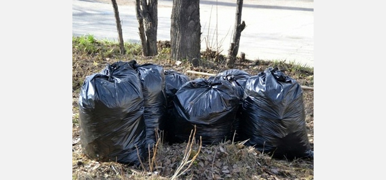 Уберите это: златоустовцы жалуются на горы невывезенного мусора 