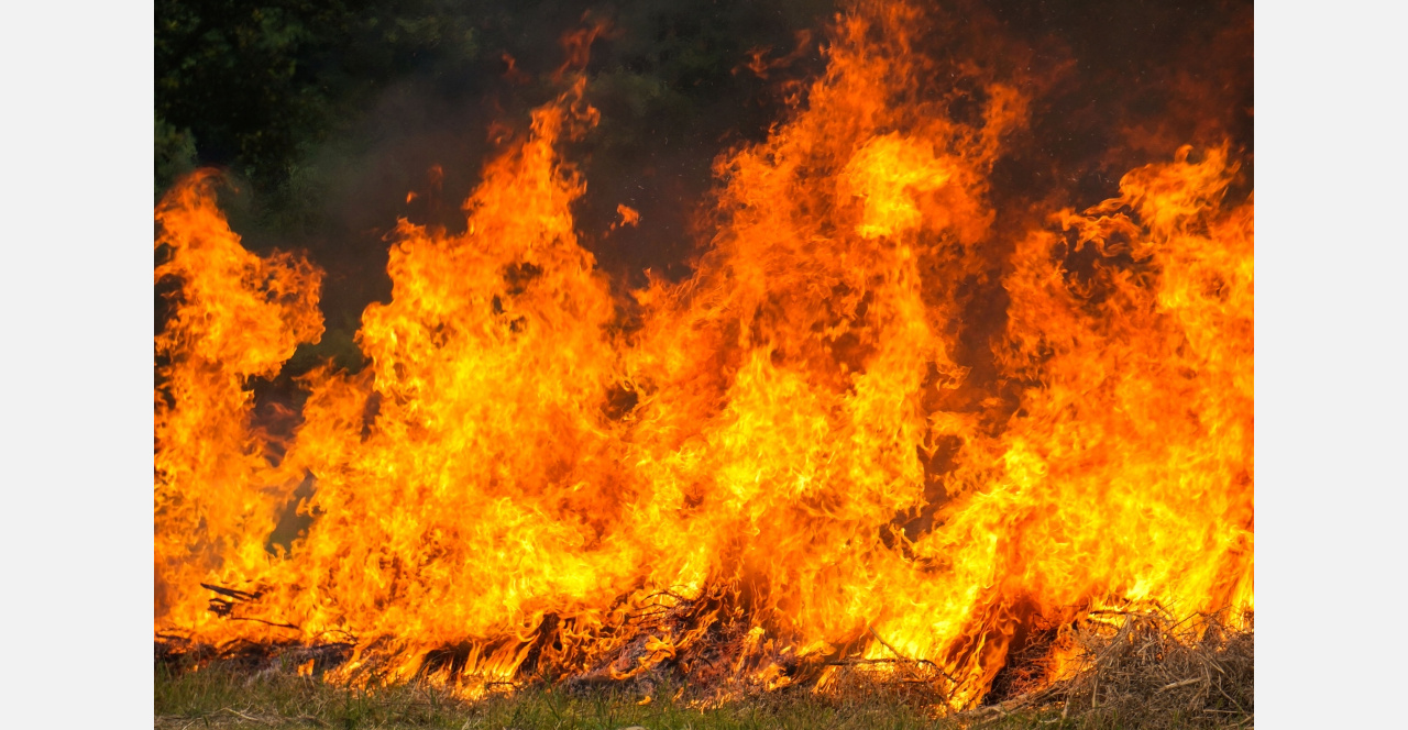 В России ужесточат ответственность за лесные пожары