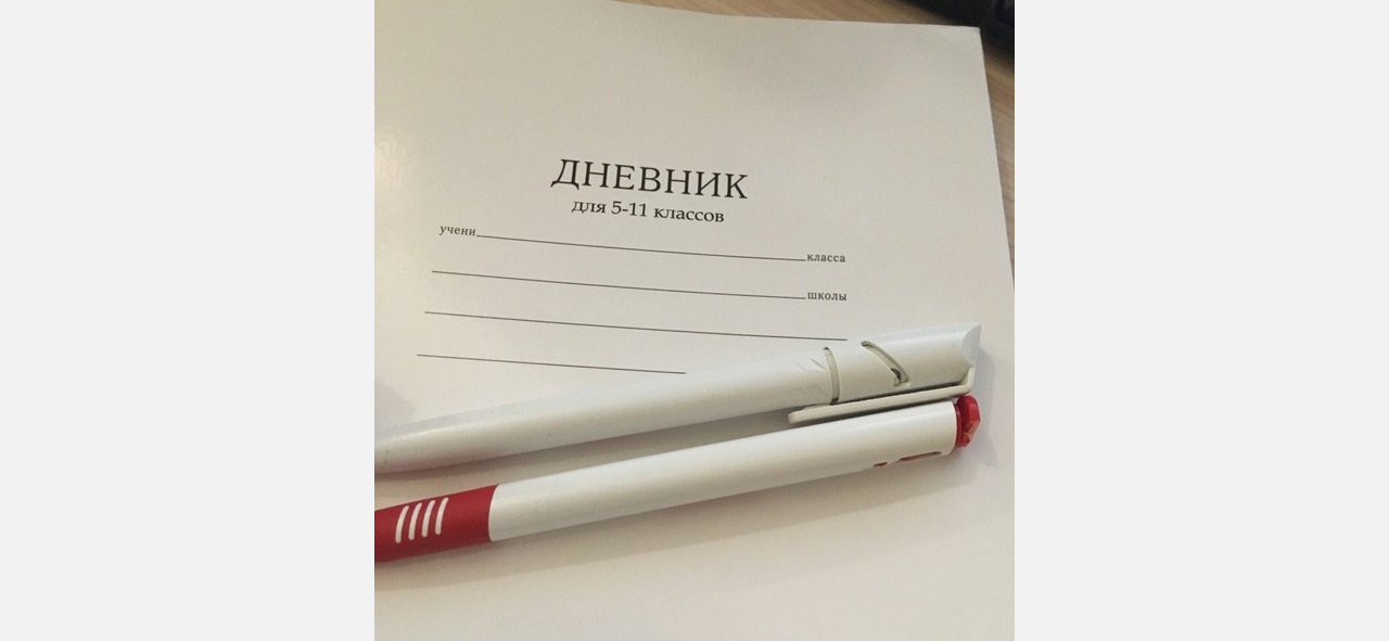 Хватит экспериментов: златоустовские родители просят вернуть бумажные дневники