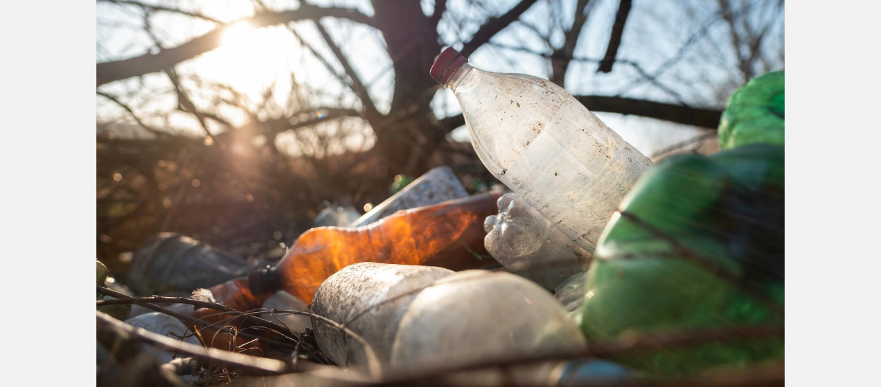 Жителей Златоуста приглашают очистить лес