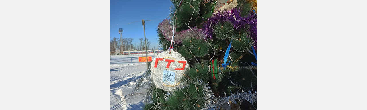 Златоустовцам предлагают сделать игрушки для «ёлки ГТО»